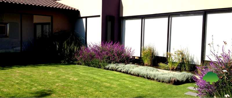 Banner 2